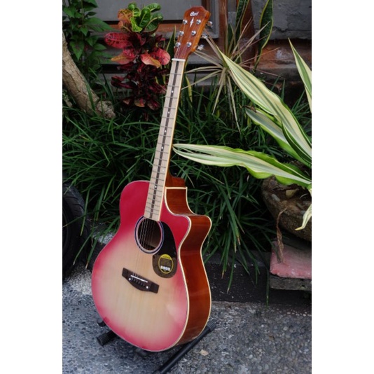 gitar cort