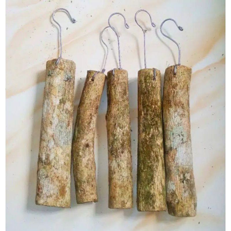 media tanam anggrek kayu kopi/media tanam anggrek gantung  kayu kopi