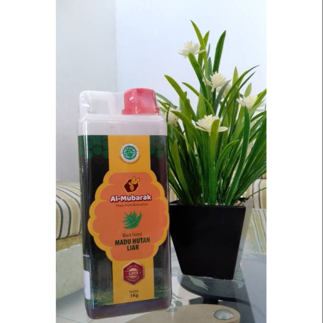 

Madu Hutan Liar Asli 1000 gr