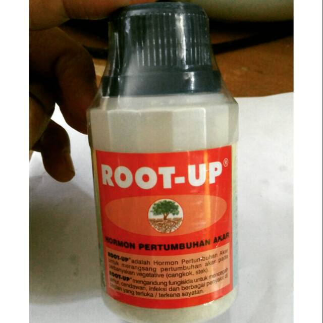 Root Up