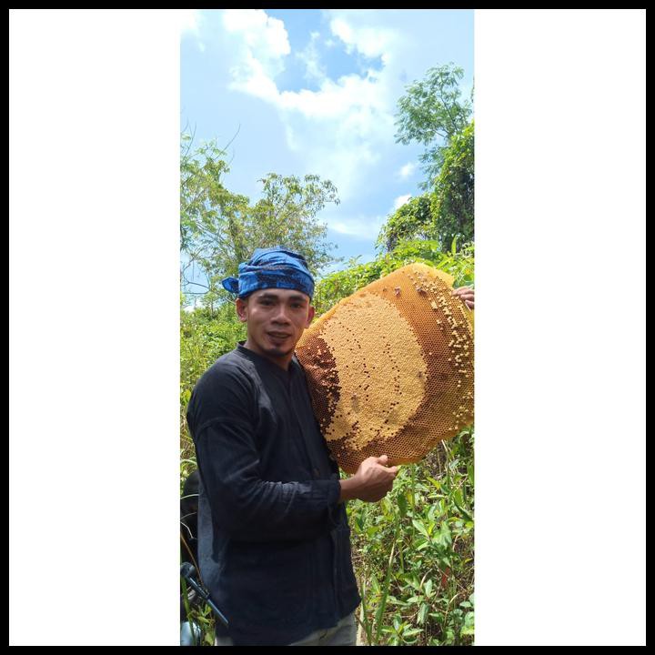 

TERMURAH MADU BADUY ASLI 100% RAW 1,5KG. TERMURAH. BERGARANSI