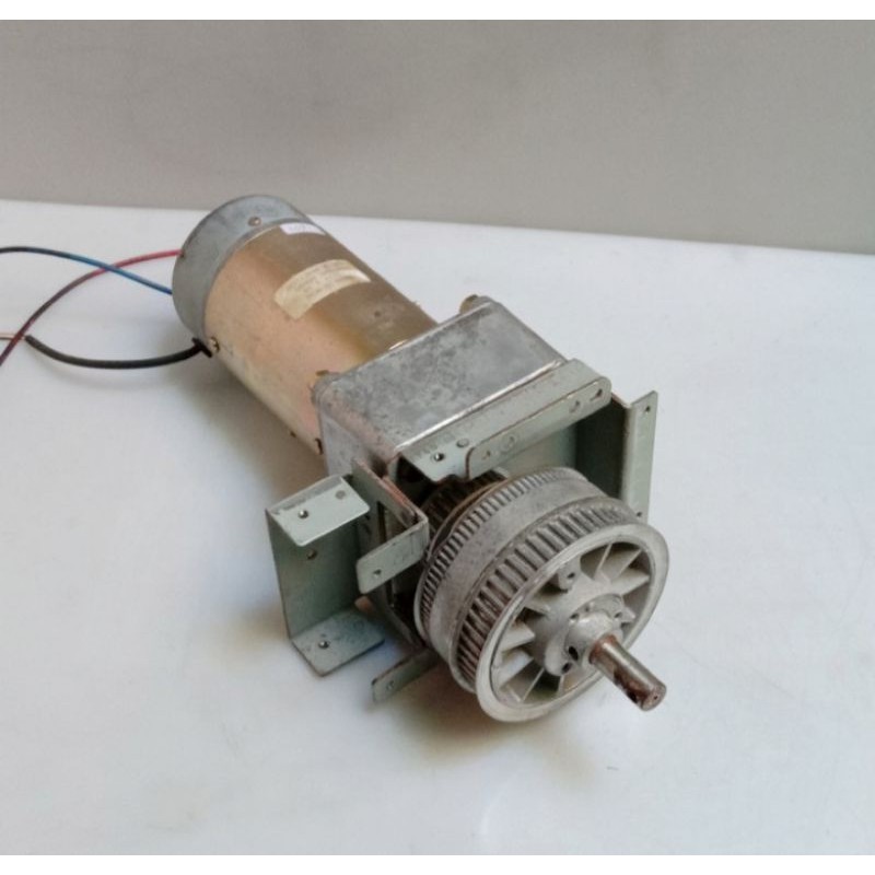 Tokushu Denso Motor Dc 24V 167Rpm 4.3A