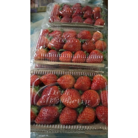 

Strawberry organik fresh _ 1pcs