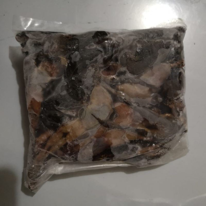 PAKAN IKAN PREDATOR ARWANA CHANA OSCAR kodok katak es beku frosen