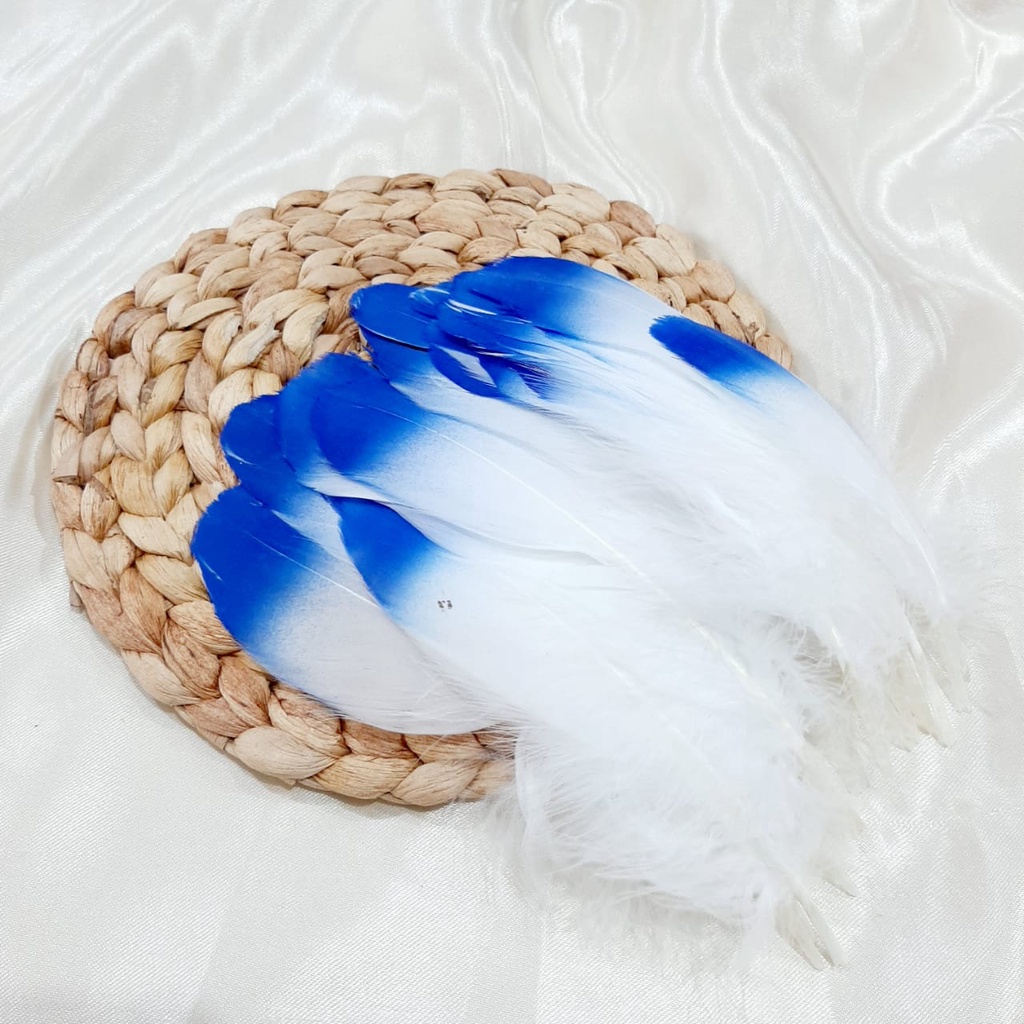 Bulu ayam warna warni/ bulu angsa / bulu warna / bulu burung
