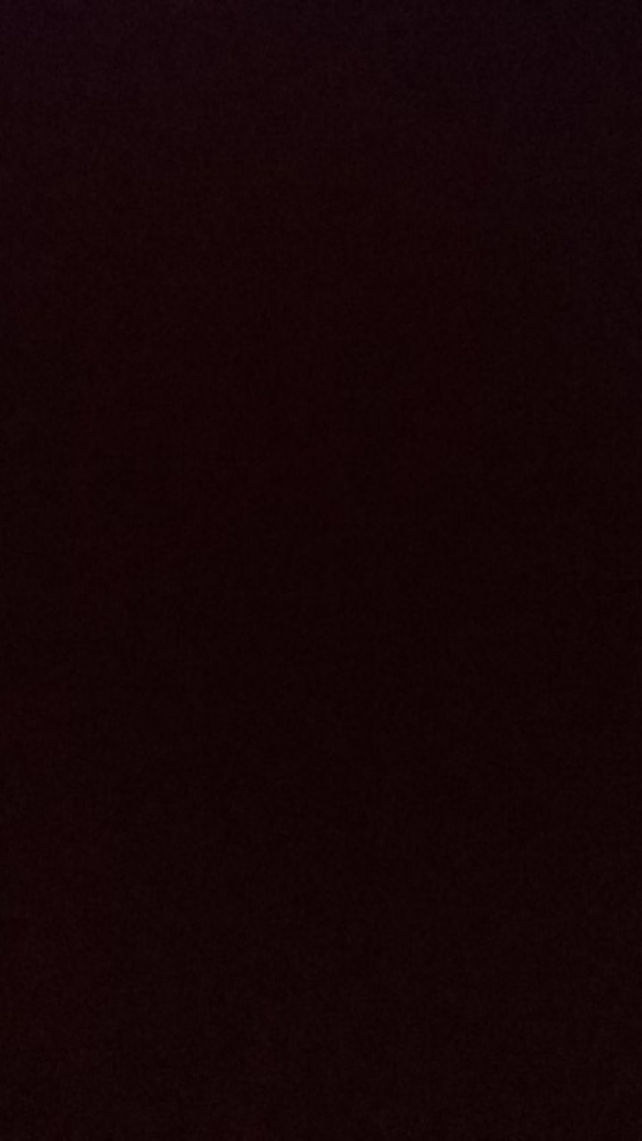 (isi 10 Butir)benih Blue Berry