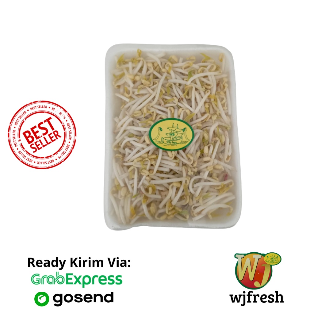 

Toge Tauge panjang 200 gram Sayur fresh siap masak Sayur segar bandung