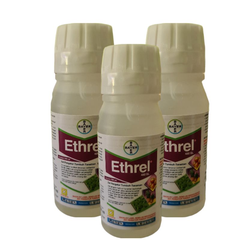 ETHREL 480 SL 100 ML ZPT PEMATANG BUAH NAGA PISANG PEPAYA ASLI