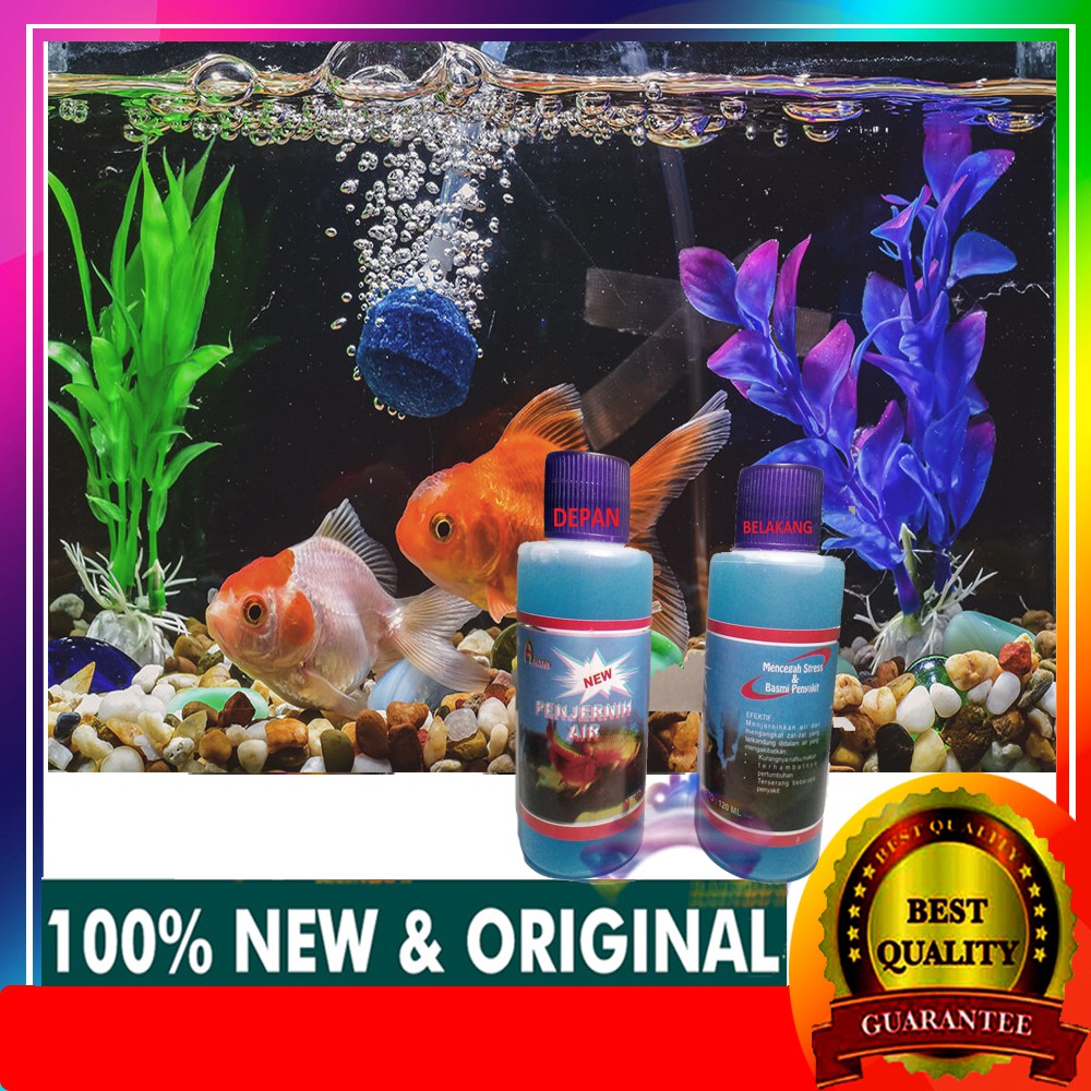 940 Koleksi Filter Aquarium Mas Koki Gratis