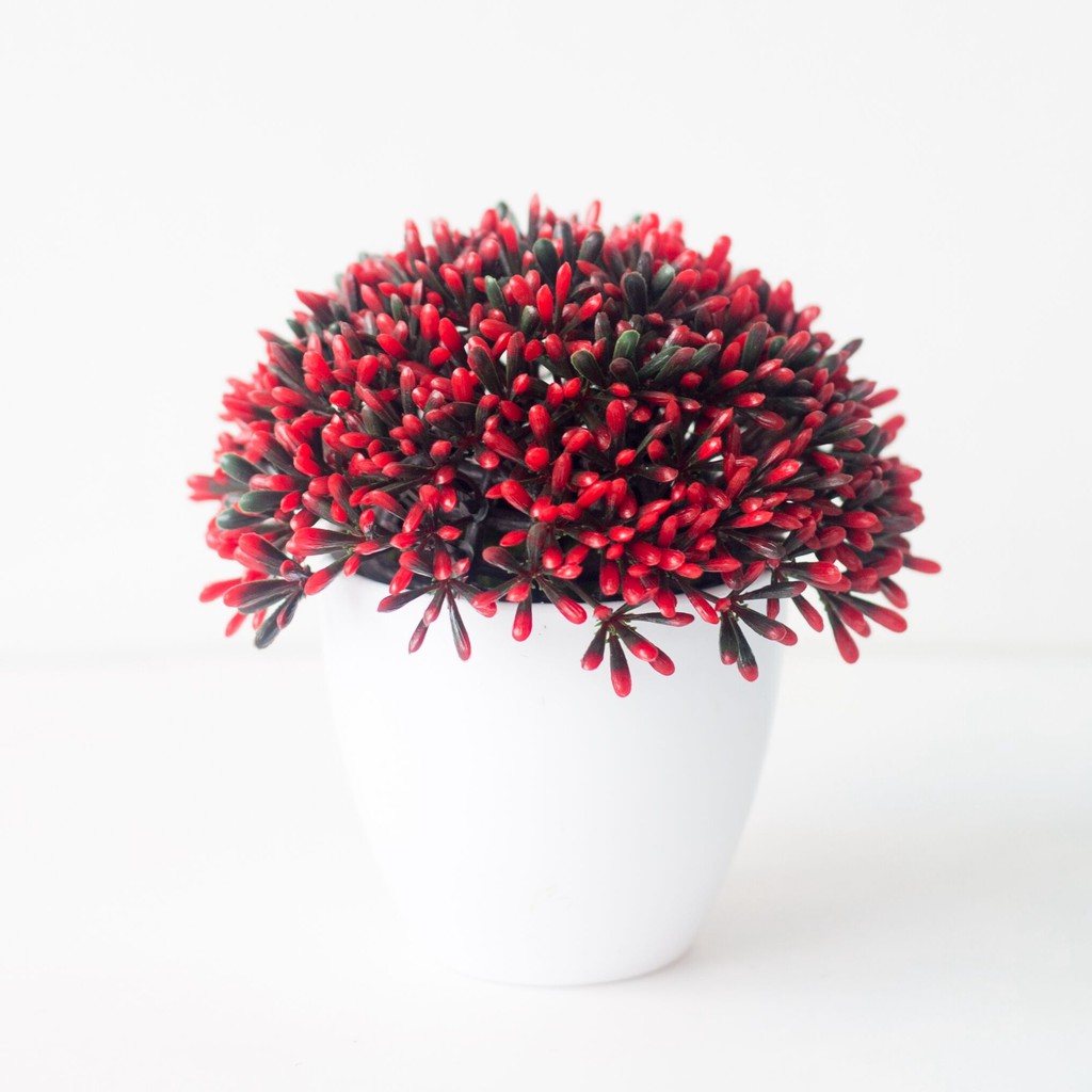 AM574 Bunga Plastik / Bunga Buah Ceri / Bunga Artifisial / Vas Bulat-3