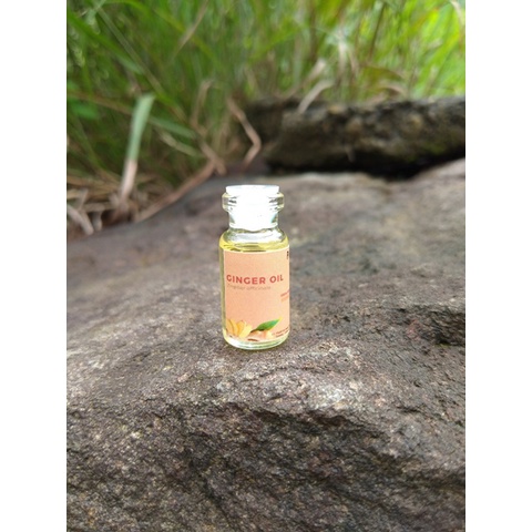 

sample 3 ml - ginger oil / minyak jahe (Zingiber officinale)