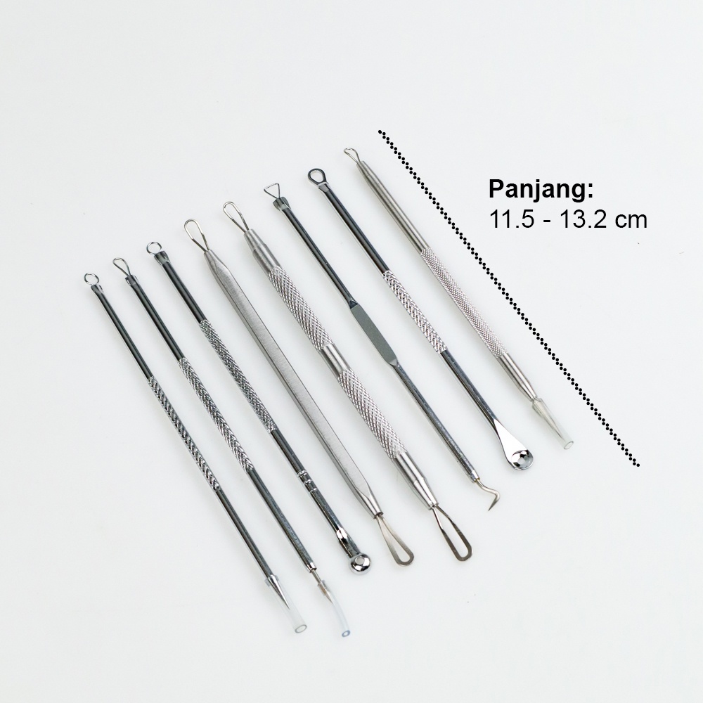 Alat Perawatan Wajah Skin Acne Pimple Blackhead Needle Remover Kit 11 PCS - DDM11 - Silver