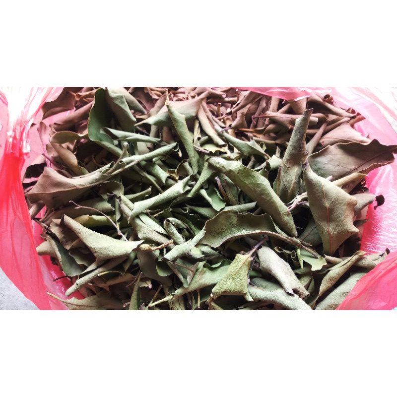 

1000 gram benalu kopi terbaik topp seller