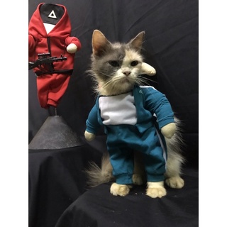 Baju kucing karakter ukhty  Shopee Indonesia