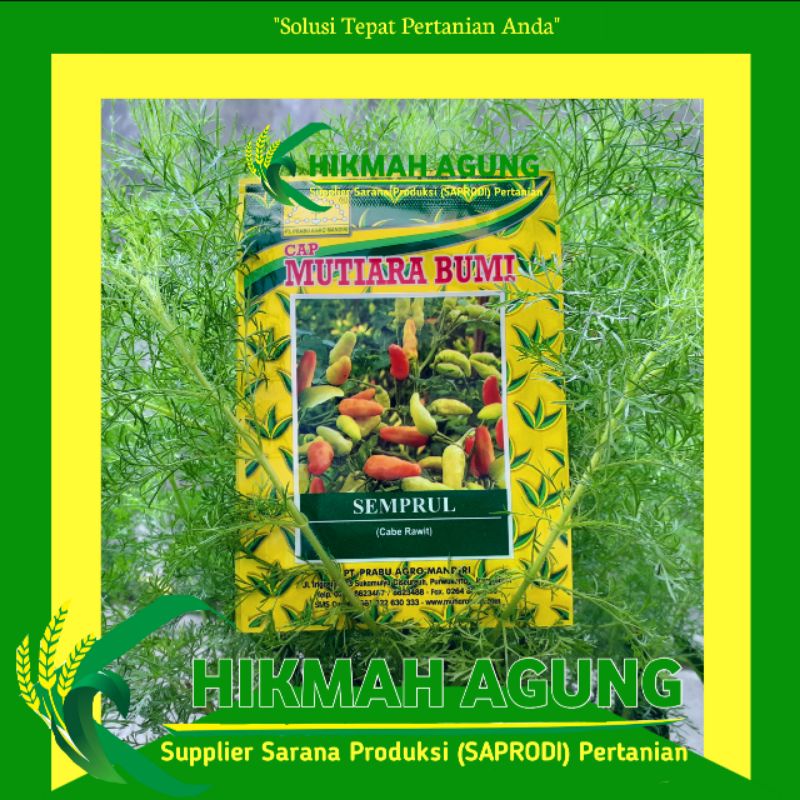 

BENIH CABAI RAWIT SEMPRUL 10GR CAP MUTIARA BUMI