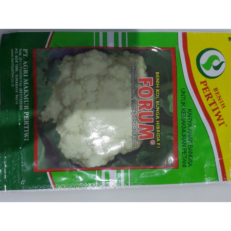 benih kol bunga hibrida F1 forum / benih pertiwi