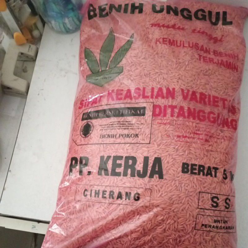 benih padi ciherang boyolali/ppkerja@5kg