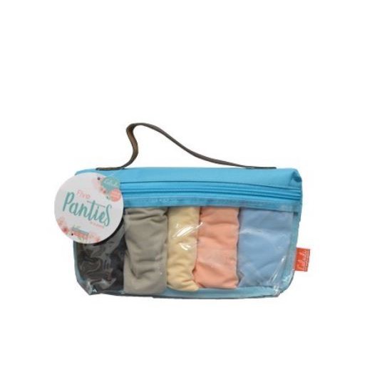 Luludi Panty Lis isi 5 pcs Nylon Spandek Katun Celana Dalam Wanita LP 5020A