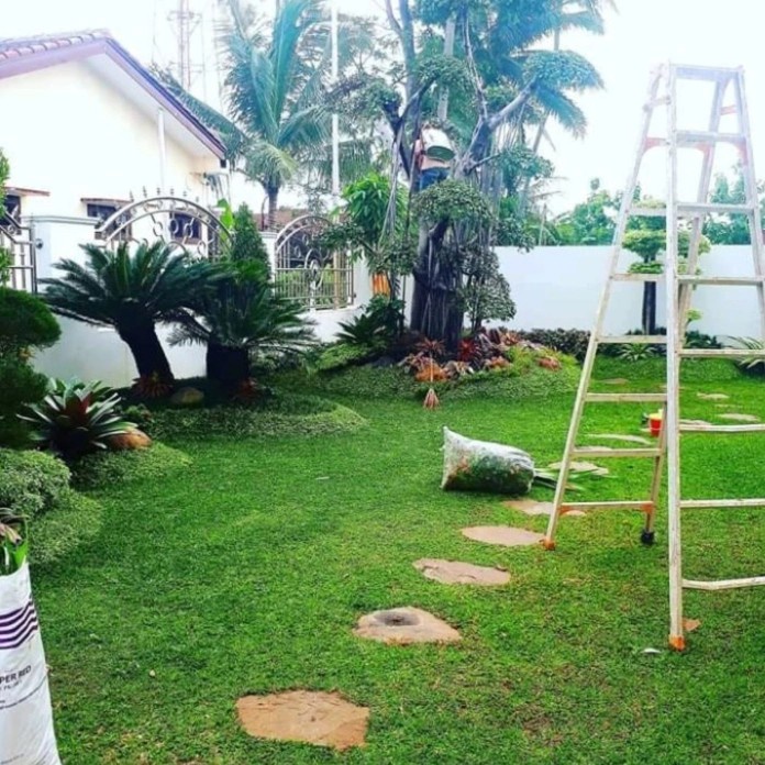 jasa perawatan taman / jasa perapihan taman rawat taman