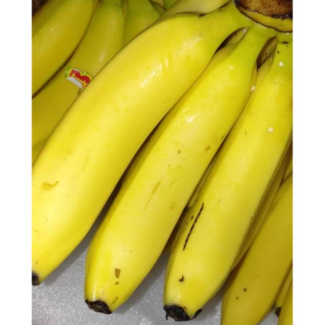 

Pisang Cavendish Baru