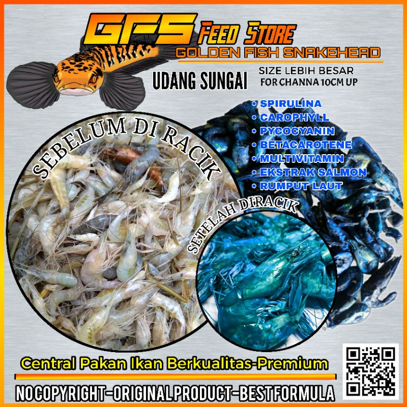 UDANG SETAN GFS FEED PAKAN CHANNA KONTES