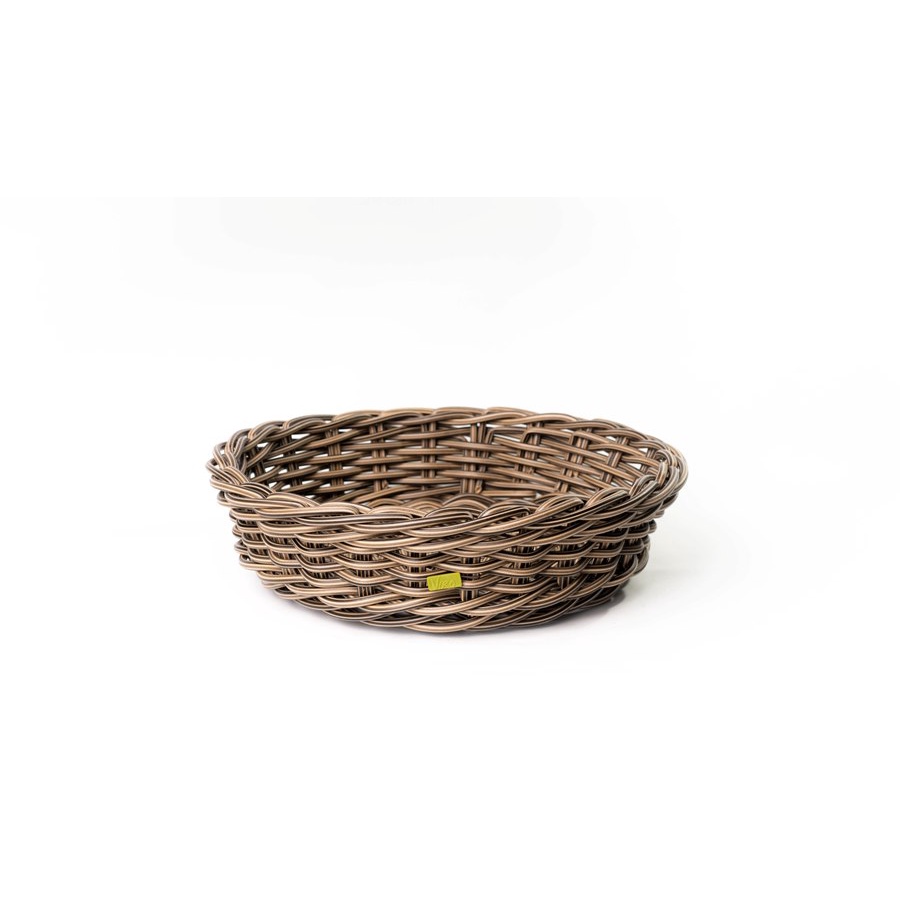 Low in Curved Basket in Palm - Medium