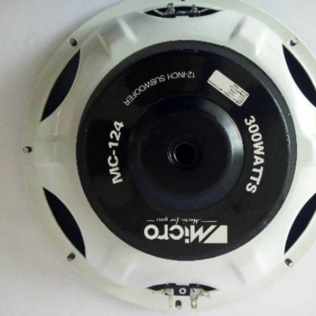 Sub Woofer 12' Micro MC 124