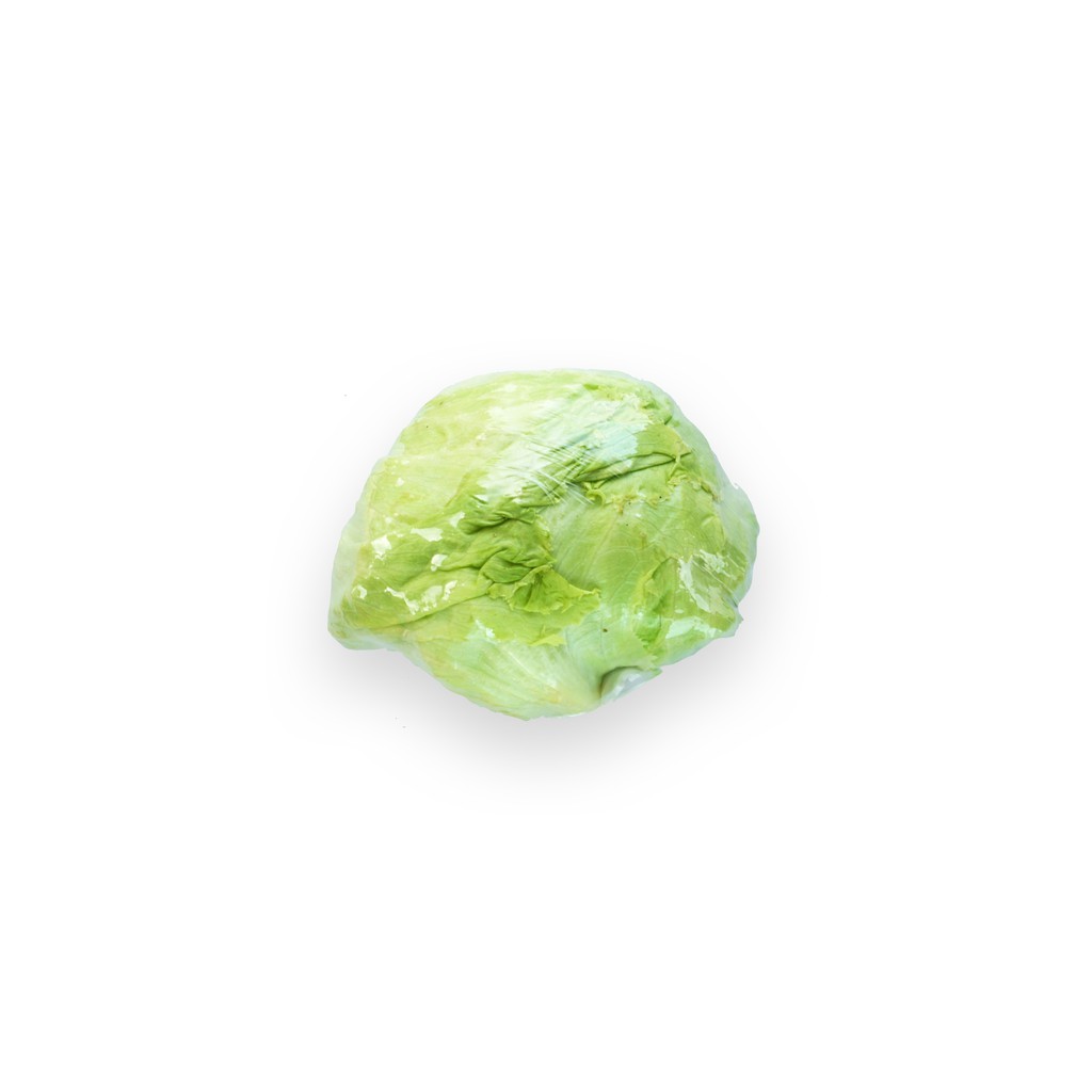 

SAYUR ORGANIK Selada Head