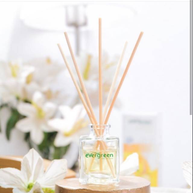 Bay Fresh / Pengharum Ruangan