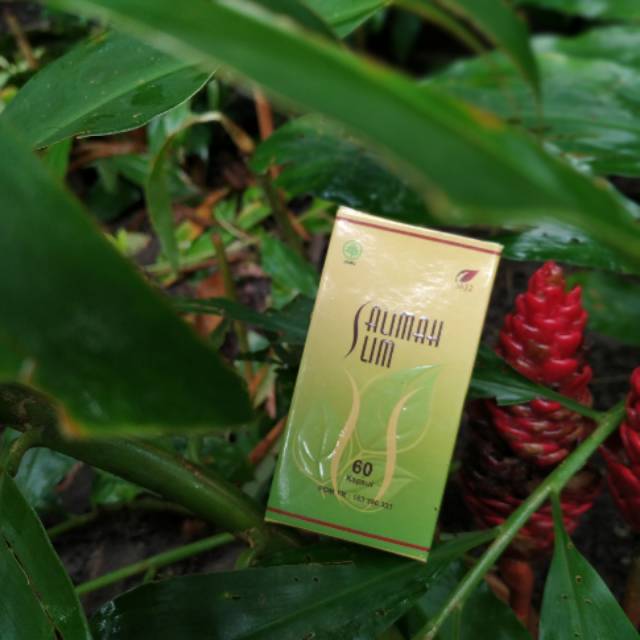 PELANGSING HERBAL BPOM || PELAKOR SR12 || SALIMAH SLIM SR12