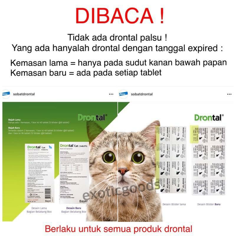 EXOTICGOODS DRONTAL CAT 1 TABLET DRONTAL KUCING OBAT CACING KUCING OBAT CACING HEWAN OBAT CACING TABLET KUCING