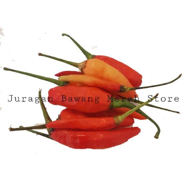 

Cabe rawit merah 250 gr
