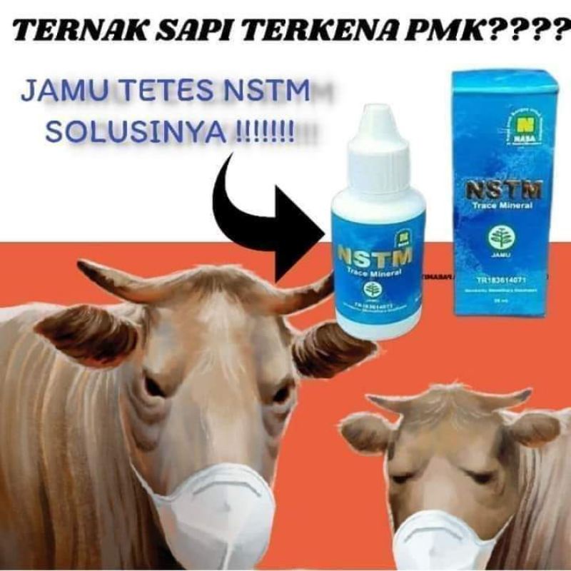 OBAT SAPI PMK