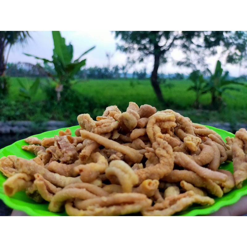 

Kripik usus zombie 1000 gr (original)