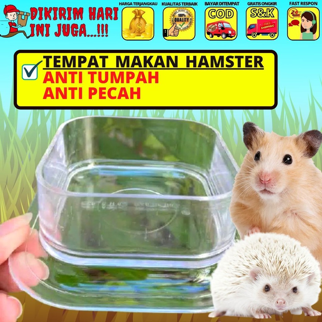 Tempat Makan Akrilik Transparant / Tempat Makan Hamster / Tempat Makan Landak Mini FEFARM