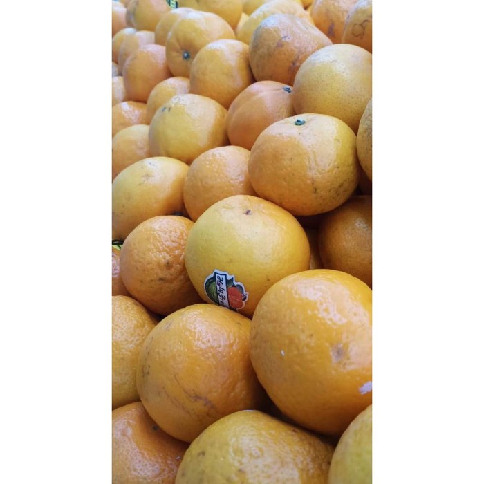 

Buah Jeruk Wokam RRC (900G-1KG)