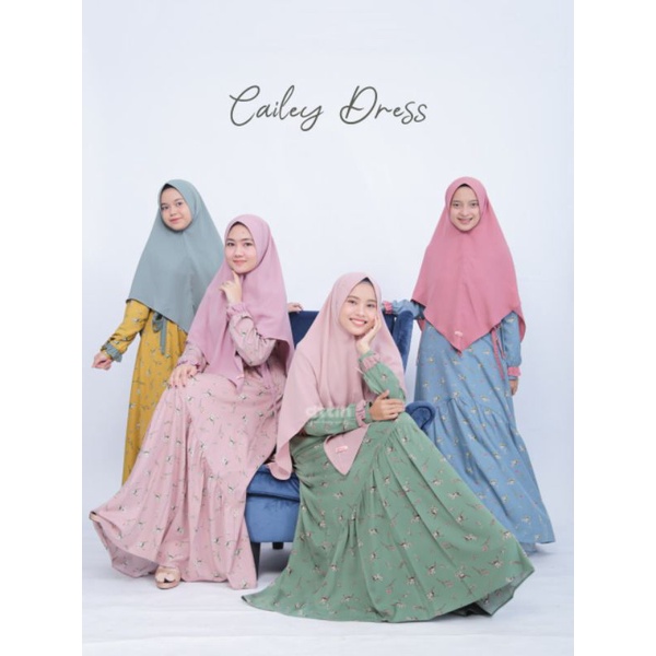 CAILEY DRESS BY ATTIN