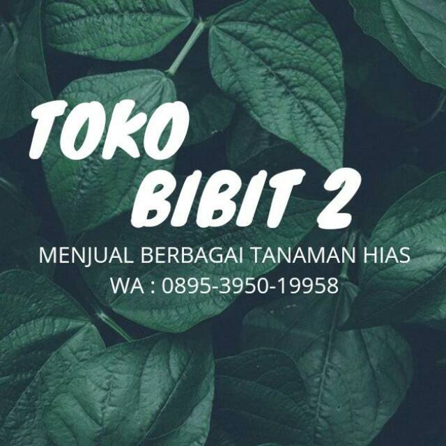 toko_bibit2