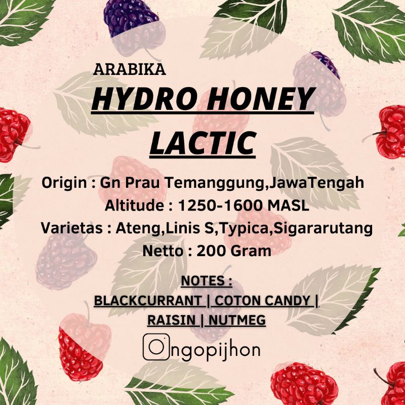 

Arabica Hydro Honey Lactic Process Roasted Bean Biji Sangrai 200 gram