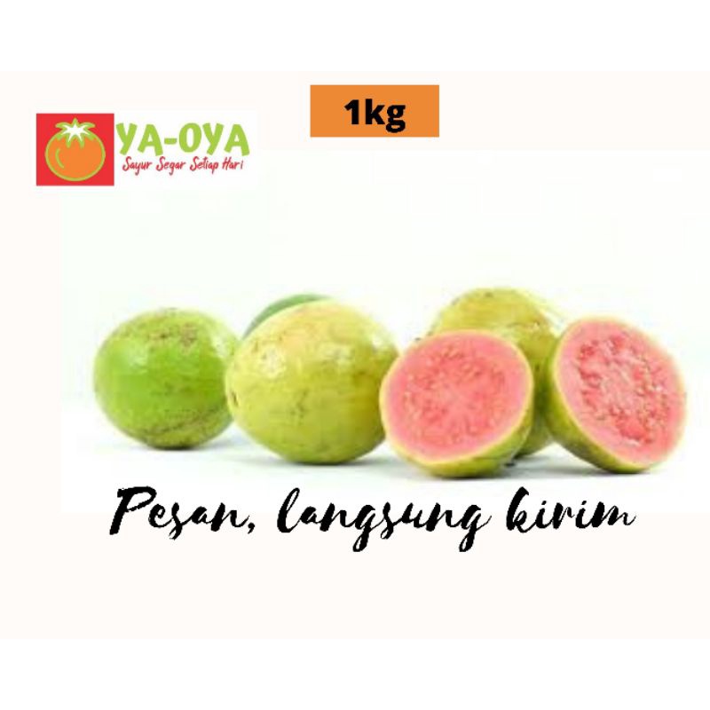 

JAMBU MERAH BIJI 1kg