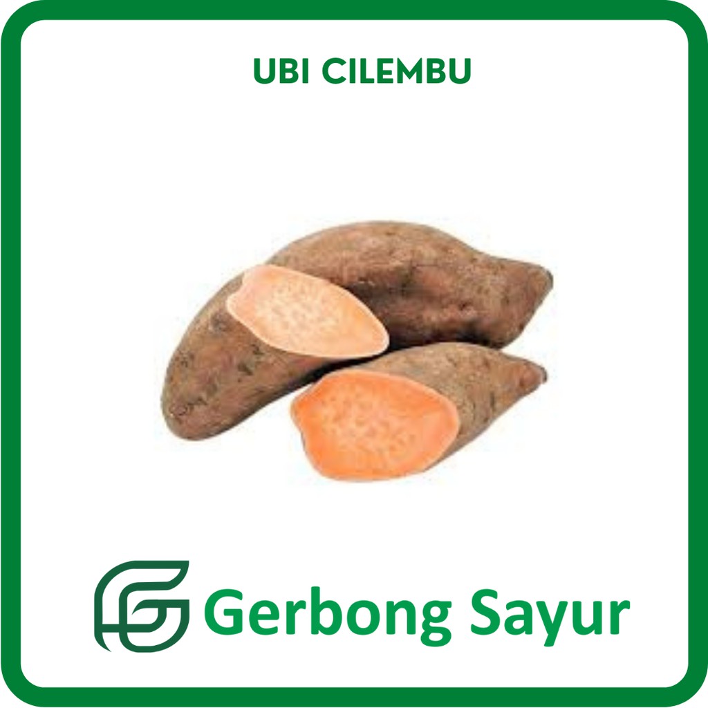 

Ubi Cilembu Segar - 1 Kg