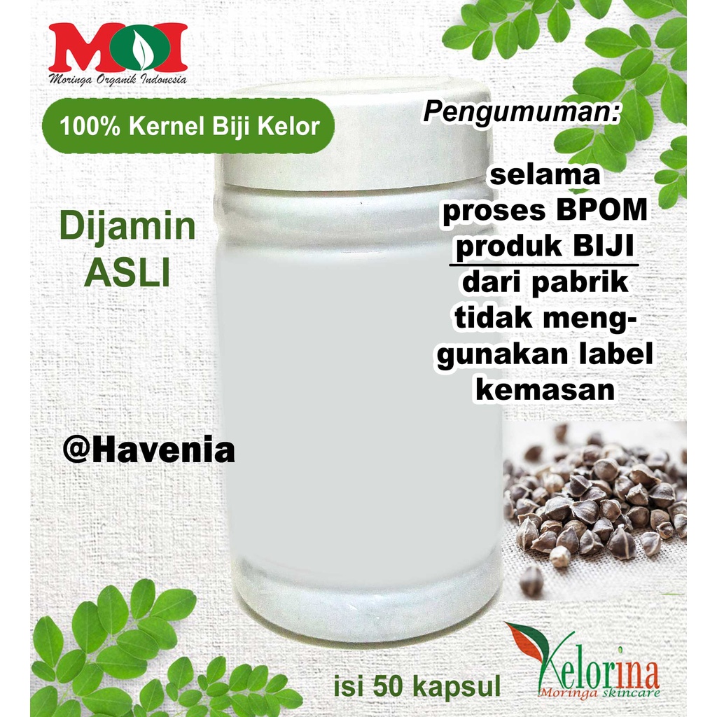 ASLI Kapsul Biji Kelor KELORINA isi 50 - DETOX Racun dan Pencernaan