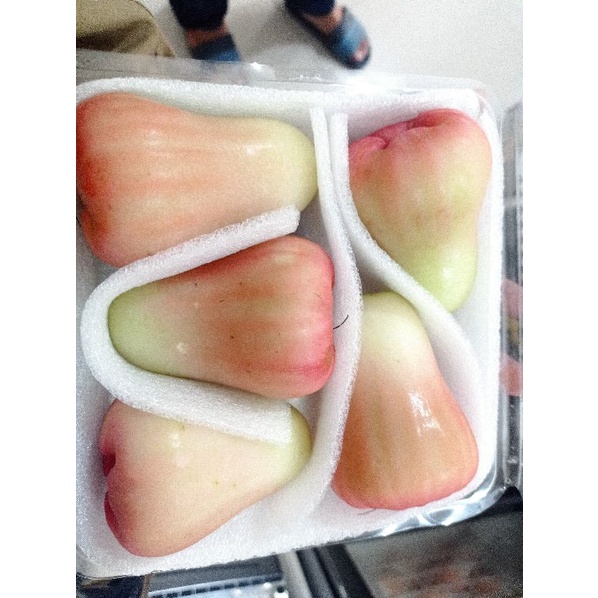 

Jambu Jode Rose jumbo 5 pics / 700 gr / pack