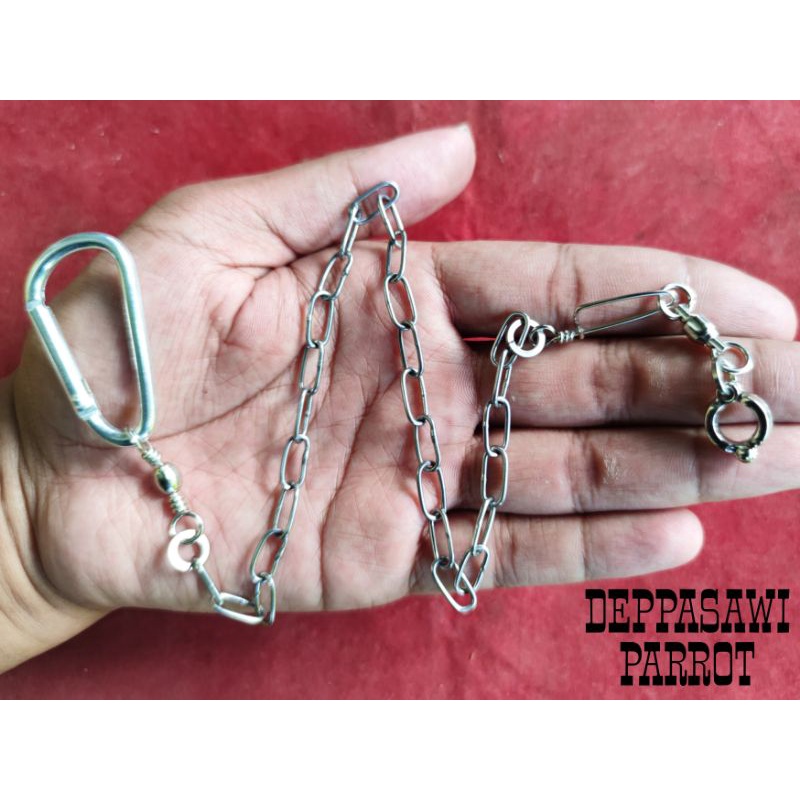 Rantai burung nuri stainless