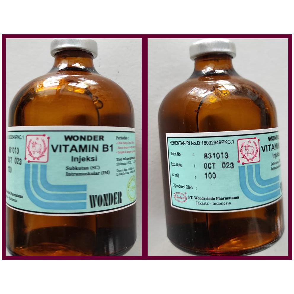 Obat Hewan VITAMIN B1 WONDER 100ml , Jual Obat Gangguan Syaraf Pada Hewan, Obat Gangguan Pernafasan 