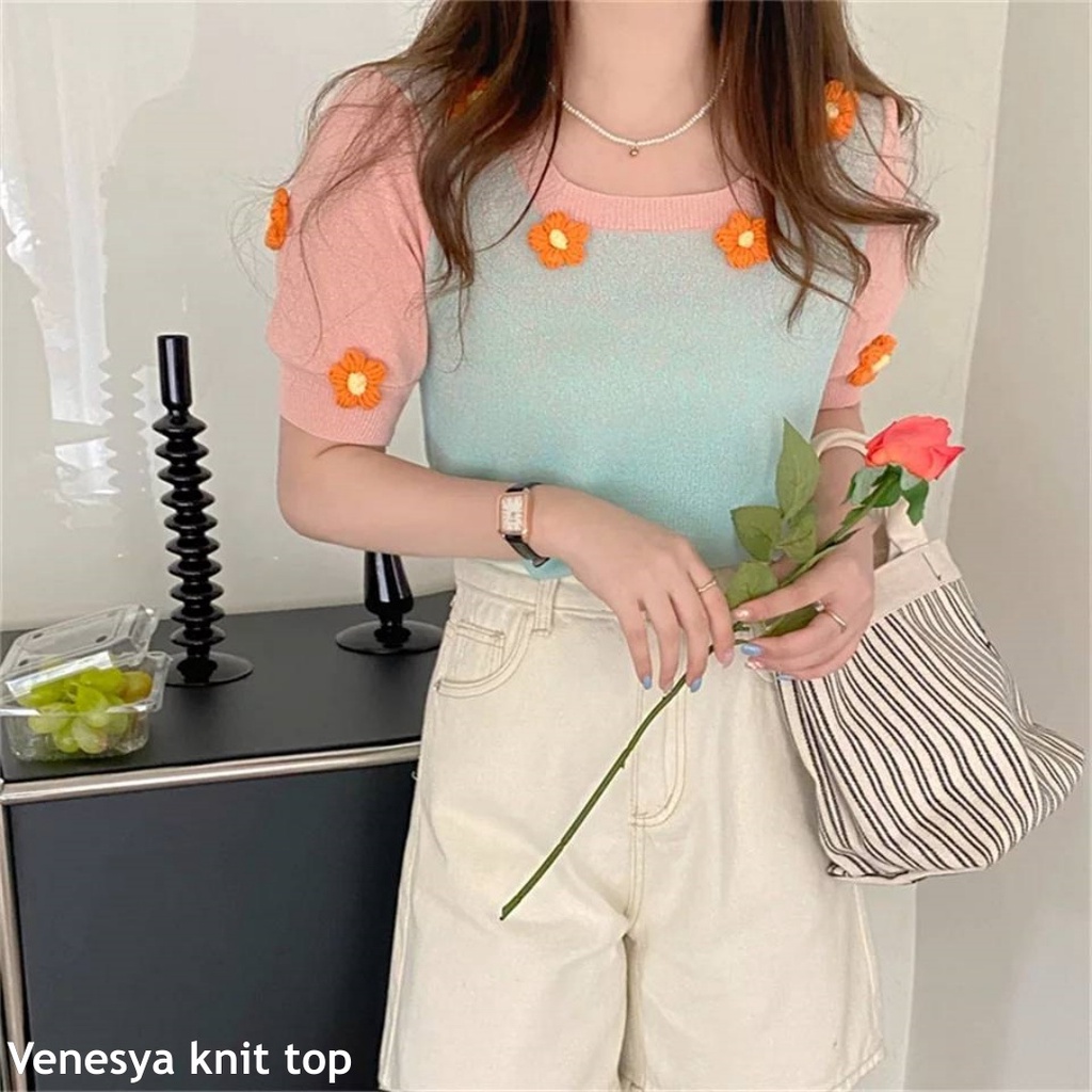 Venesya knit top - Thejanclothes