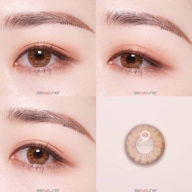 MIKHAYLOVESHOP Softlens Blossom 3con Brown | Kittykawaii