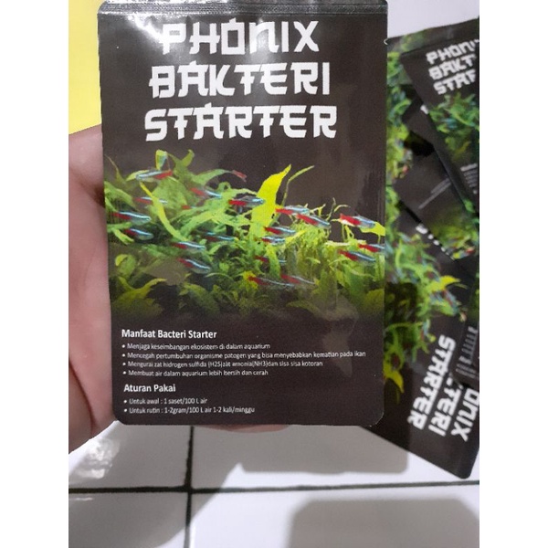 bacteri starter/bakteri starter aquascape akuarium dan kolam phonix