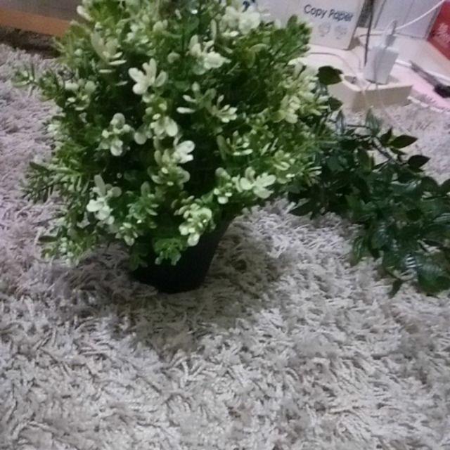 Fejka, Tanaman Tiruan Dalam Pot, Oregano, timi, Rosemary 9 Cm