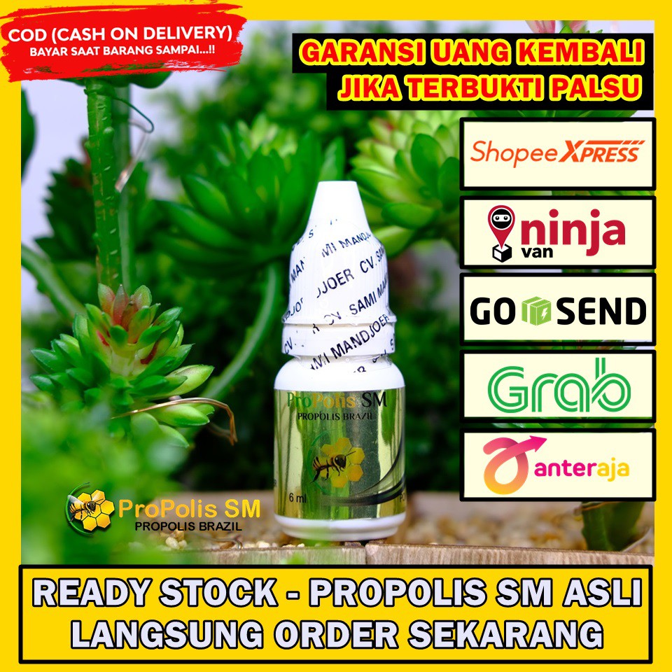 Obat Gatal Jamur Di Daun Telinga Infeksi Jamur Dermatitis Kontak Iritasi Gatal Alergi Propolis Shopee Indonesia